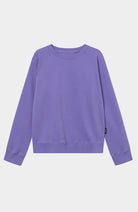 Dedicated Sweatshirt Ystad Base Paisley Purple from organic cotton | Sophie Stone