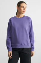 Dedicated Sweatshirt Ystad Base Paisley Purple from organic cotton for women | Sophie Stone