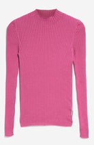 ARMEDANGELS Alaania turtleneck berry | Sophie Stone