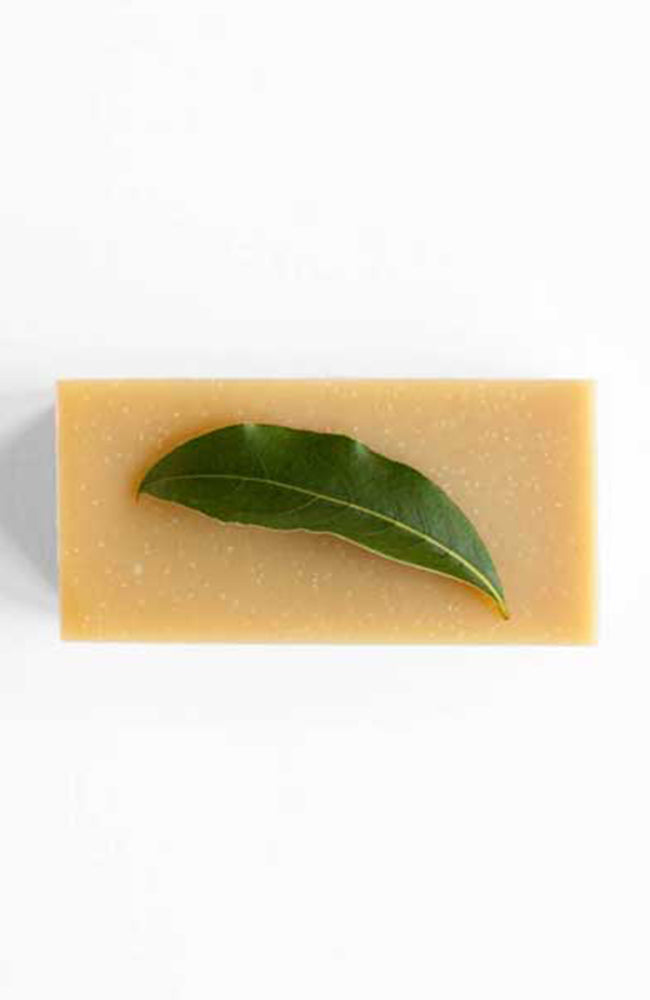 Werf soap honey shampoo block | Sophie Stone