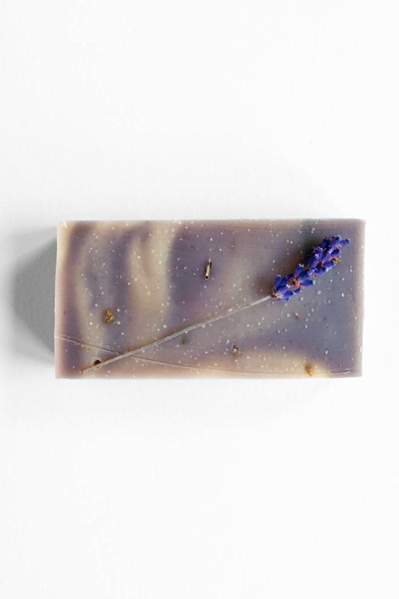 Werfzeep Lavender soap plant | Sophie Stone